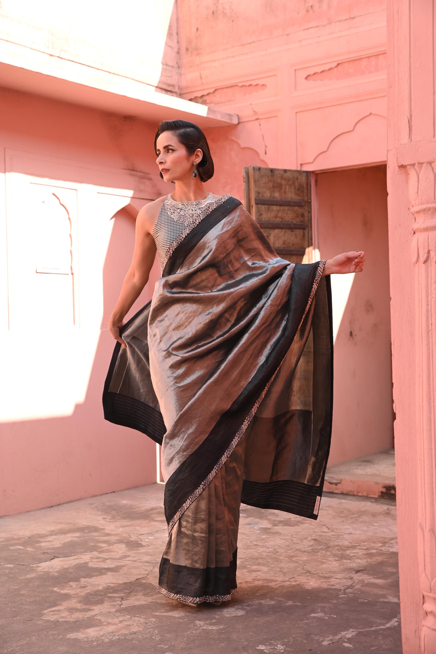 Hawa Hawai Tissue Banarasi Handloom Sari