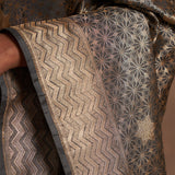'Jhilmil Sitara' Ektara Benarasi Handloom Sari