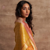 'Chaand Ki Jaali' Pitambari Ektara Benarasi Handloom Sari