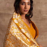 'Gulon Ki Mehfil' Jamuni Kadiyal Benarasi Handloom Sari