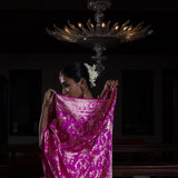 Surkh Surur' Rani Jaal Benarasi Handloom Sari