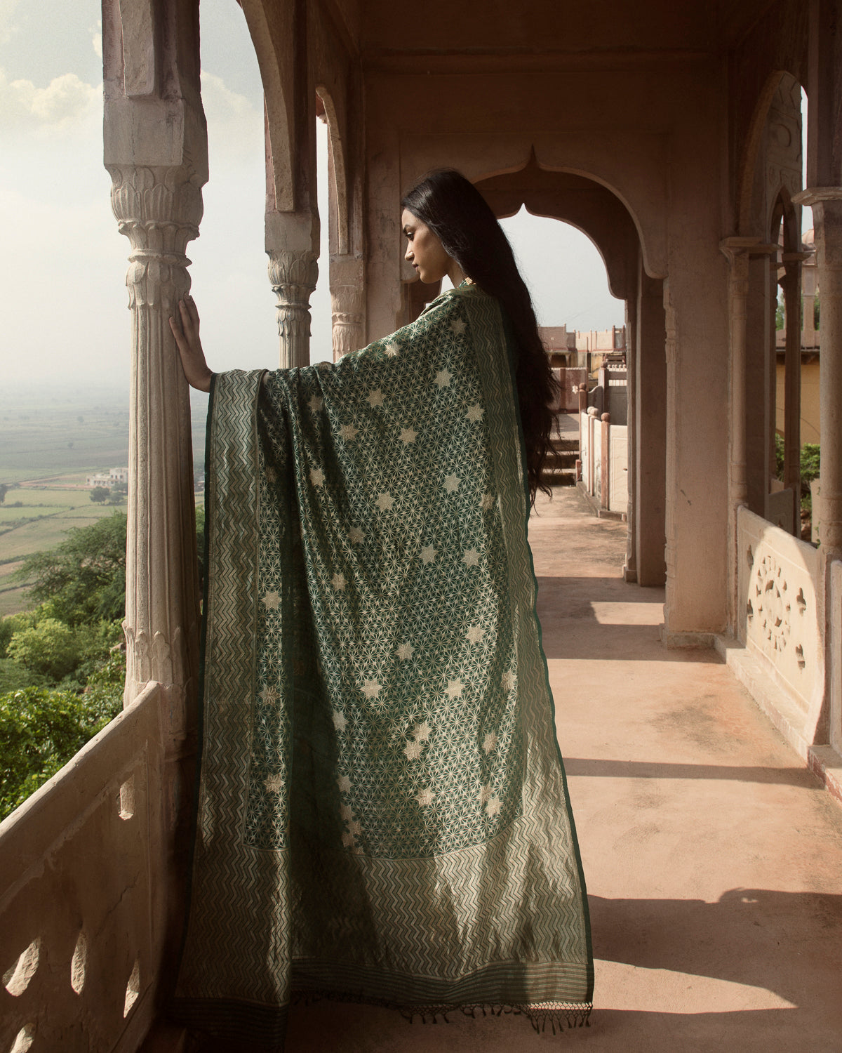 'Jhilmil Sitara' Hariyar Ektara Benarasi Handloom Sari