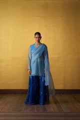 Aira Powder Blue & Cobalt Blue Sharara Set