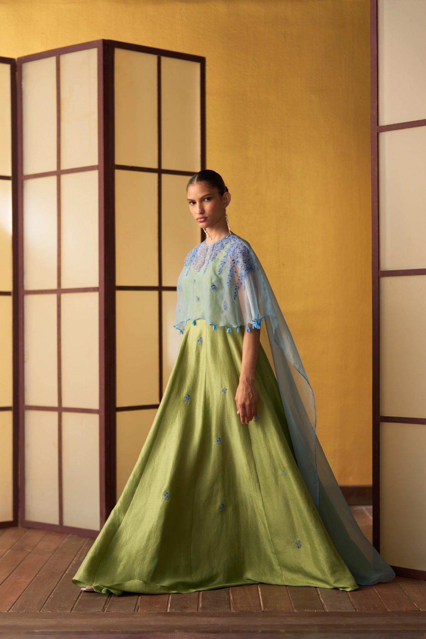 Misa Pistachio Green & Powder Blue Kali Dress with Cape