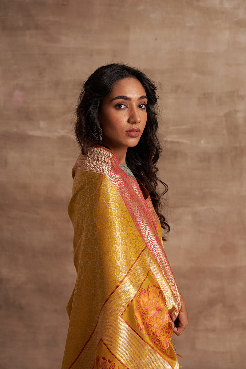 'Chaand Ki Jaali' Pitambari Ektara Benarasi Handloom Sari