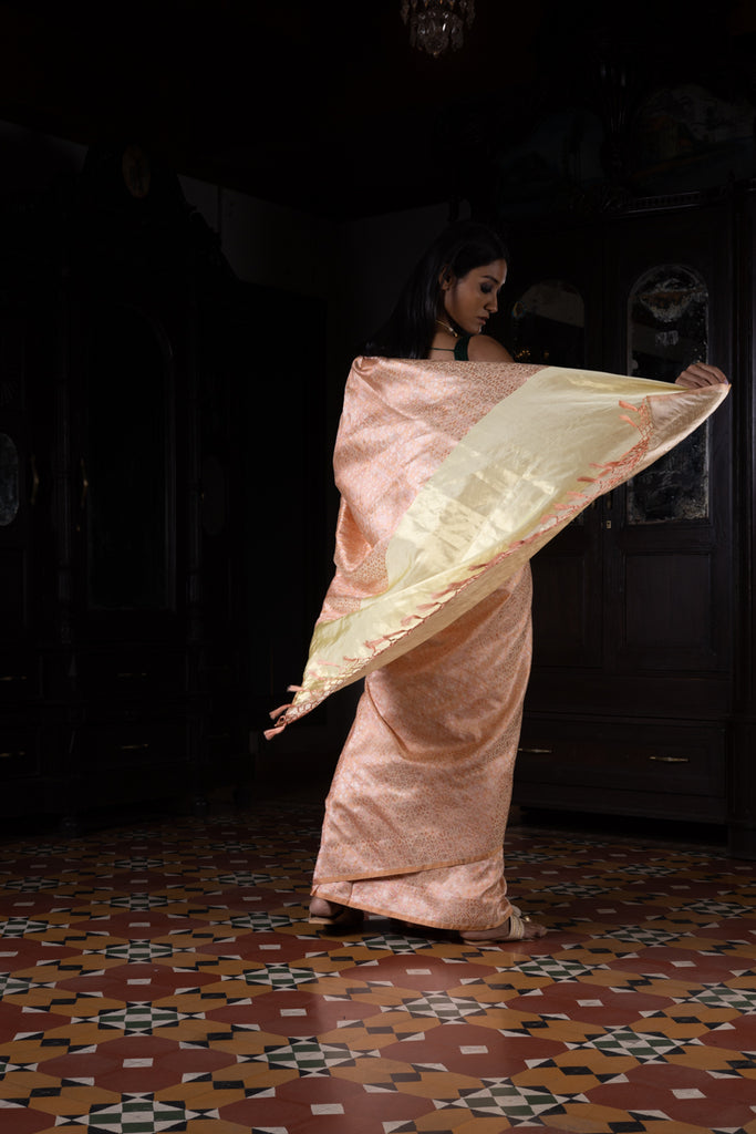 'Akriti' Tanchoi Benarasi Handloom Sari