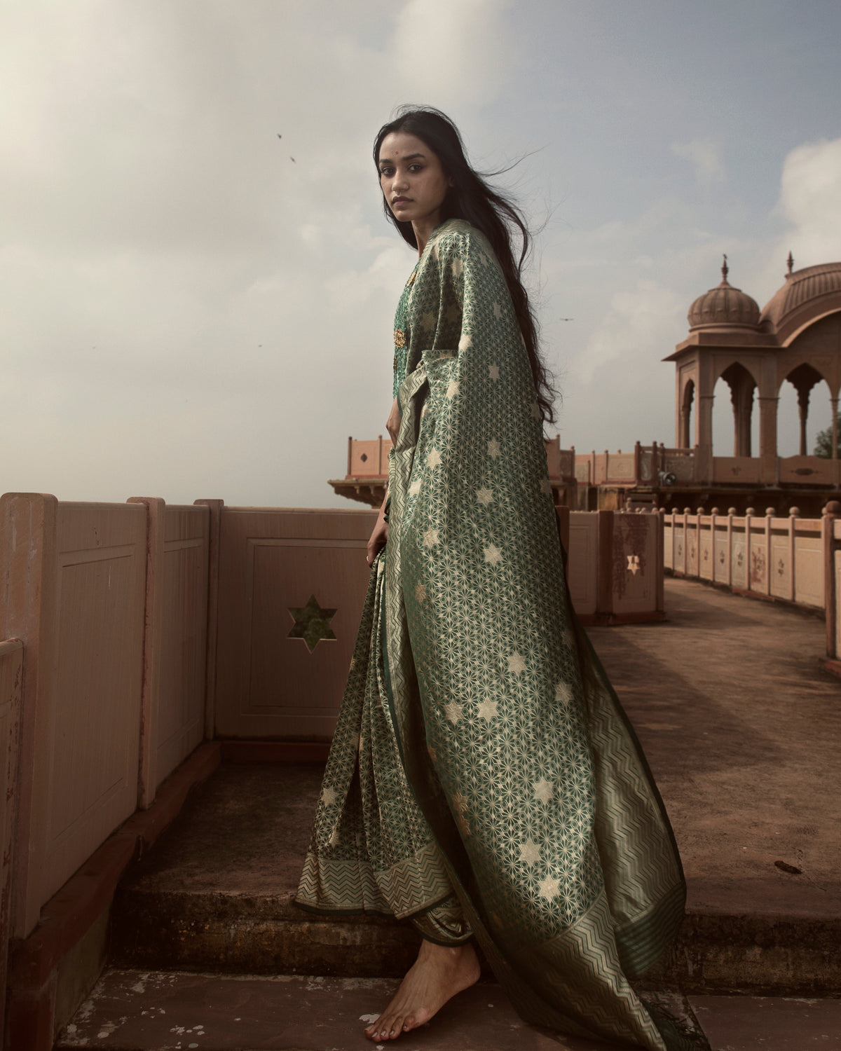 'Jhilmil Sitara' Hariyar Ektara Benarasi Handloom Sari