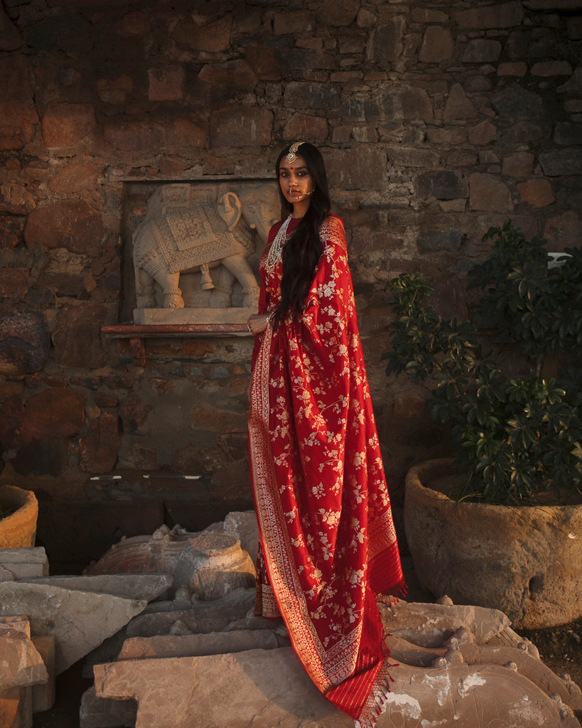 'Indra Ki Pari' Laali Jangla Zari Pure Silk Benarasi Handloom Sari